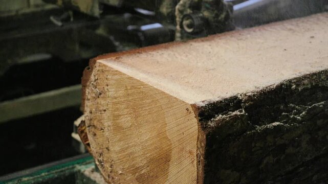 A close-up of a log being cut by a sawmill machine, revealing a clean cross-section and sawdust. Water mist is sprayed to cool the cutting process