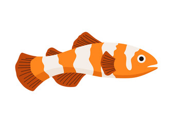 Aquarium fish. Beautiful underwater character. Decorative colored freshwater fish in flat cartoon design. Vector illustration, isolated animal on white