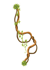 Liana branch. Twisted wild jungle vine plants. Woody natural tropical rainforest, exotic botany element. Vector design element