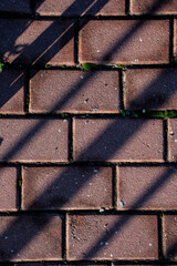 ladrillos marrones en la calzada con sombras de barrera y algo de musgo verde