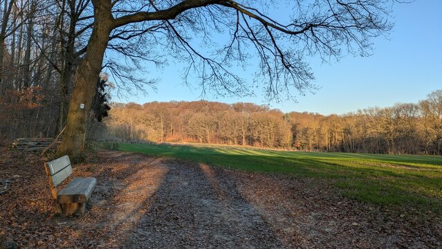 Viersen, Spaziergang in l&auml;ndlicher Gegend, Herbst, Jahreszeiten in Deutschland, kahle B&auml;ume