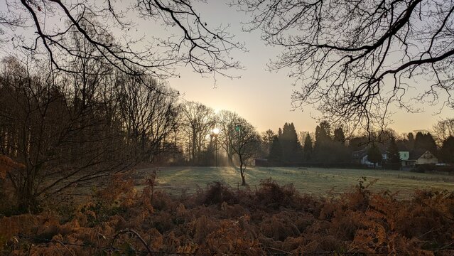 Spaziergang in der Natur, Sonnenaufgang im Herbst, Viersen, Deutschland, B&auml;ume ohne Laub
