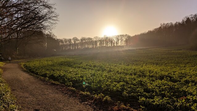 Aussicht &uuml;ber ein Feld im Sonnenaufgang der Sonne im Gegenlicht - Jahreszeit Herbst