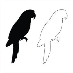 Parrot silhouette isolated - vector illustration. Flying macaw parrot silhouette vector graphic design element illustration .