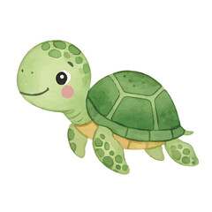 Obraz premium Cute turtle on white and green backgrounds with shell in nature and grass