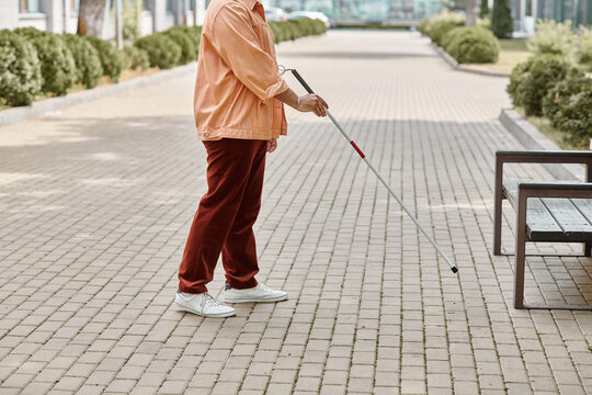 Handsome Indian man with a cane embraces his surroundings in a serene park setting
