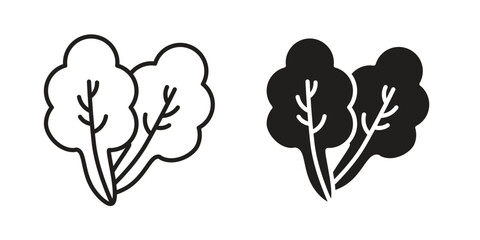 Lettuce icons. glyph icon vector on white background. Flat and line vector