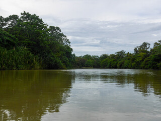 Landscape along a Tortuguero canal in Tortuguera National Park.