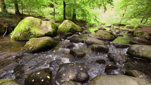Filmmaterial des  H&ouml;llbach im Naturschutzgebiet H&ouml;llbachtal bei dem Rundwanderweg in Rettenbach bei Falkenstein in Bayern, Deutschland
