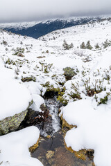 The Sierra de Guadarrama mountains in Madrid during the snowfall of december 2025, at the Cotos mountain pass