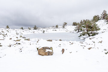 small lagoon in the Sierra de Guadarrama mountains in Madrid during the snowfall of december 2025, at the Cotos mountain pass