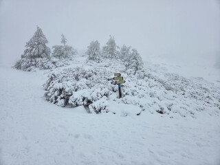 The Sierra de Guadarrama mountains in Madrid during the snowfall of december 2025, at the Cotos mountain pass
