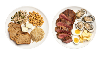 Neutral background with a sidebyside comparison of zincrich plant foods and animal products arranged on separate plates emphasizing differences in bioavailability visually.