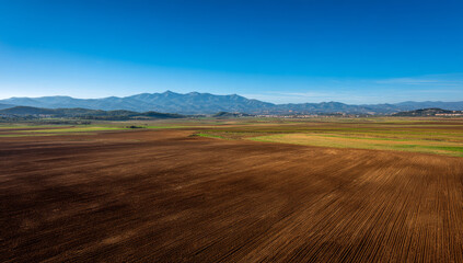 Expansive agricultural fields with varying textures and colors under a bright blue sky and distant mountain range