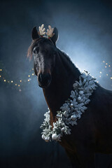 A majestic dark brown PRE (andalusian) horse stands proudly against a dramatic background with festive string lights