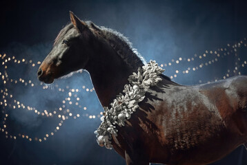 A majestic dark brown PRE (andalusian) horse stands proudly against a dramatic background with festive string lights