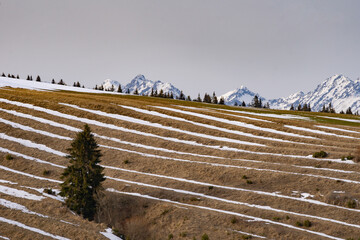 Aerial view of snow-covered fields lined with golden grasses leading to the majestic, snow-capped peaks, Liptovska Teplicka, Presov Region, Slovakia.