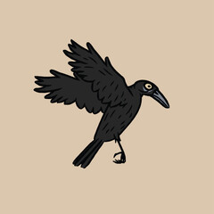 Obraz premium Rook, Raven, Jackdaw, Chough, Magpie, Jay, Nutcracker, Treepie, Piapiac, Crow-billed Drongo