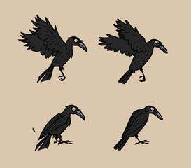 Rook, Raven, Jackdaw, Chough, Magpie, Jay, Nutcracker, Treepie, Piapiac, Crow-billed Drongo