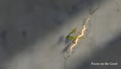 Focus on the Good inspirational concept showing green plant growing through cracked concrete wall