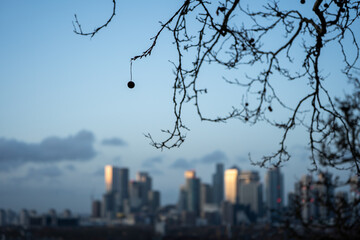 City skyline through bare tree branches