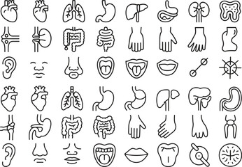 Outline Human Organ and Body Part Icons Collection
