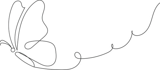 vector illustration of an butterfly line art