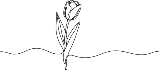 line art vector illustration of a flower