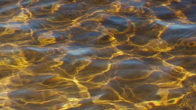 Golden Water Surface With Sunlight Ripples And Reflections. Clear River Bottom Visible Through Small Waves