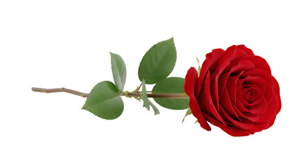 Would you like me to generate a similar descriptive string for a different type of flower?