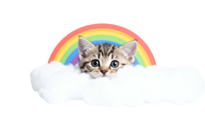 A tabby kitten peeks over a cloud, framed by a colorful rainbow arch