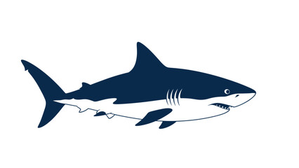 Obraz premium Illustration of a Great White Shark with Dark Blue and White Coloring.