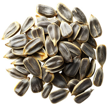 Sunflower seeds pile closeup healthy snack