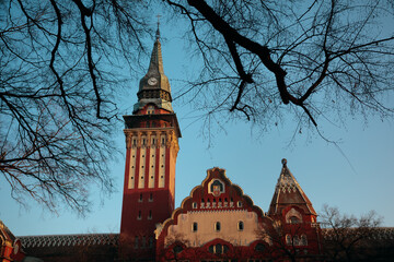 City hall tower and main building in Subotica, Serbia, framed by bare tree branches in winter.