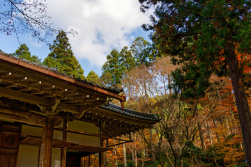 Fototapeta premium Kyoto Sanzenin during the red leaf season (Sanzen-in)