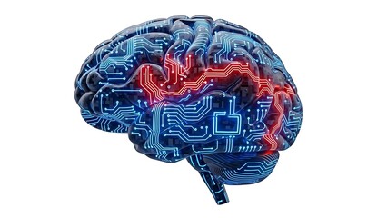 Brain with blue and red circuit board patterns on white background technology computer