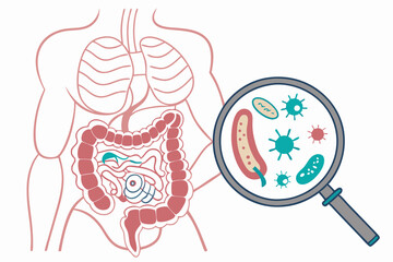 Vector illustration of intestines with bacteria and germs, viewed through a magnifier. Perfect for medical, health, and microbiology-related designs.