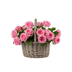 Pink roses in gray basket Transparent Background