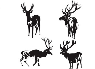 set of deer © hiho sky