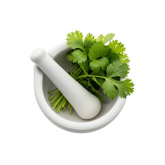 Cilantro in a Mortar and Pestle