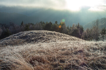 In the mountains near Paltinis, Sibiu, Romania