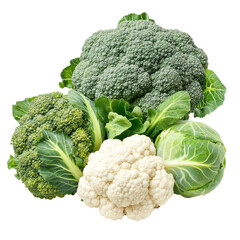 Broccoli cauliflower and Brussels sprouts three winter crops on transparent background