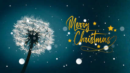 2026 dandelion in teal background