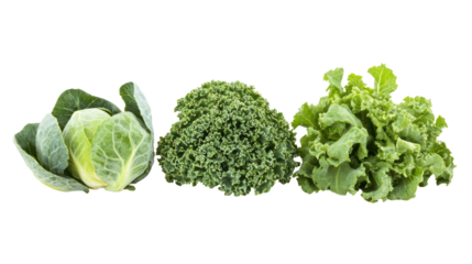 Brussels sprouts kale and collard greens three leafy winter crops on transparent background