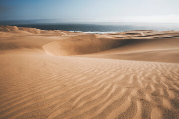 panoramic view of sand dunes in the desert of namib in sandwich harbour with a view on the atlantic ocean © Francesca Emer