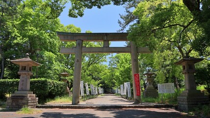 初夏の青空に映える神社の鳥居と新緑
