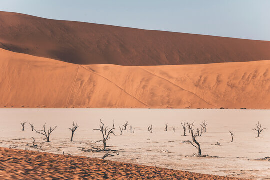 panorava over the dunes and the deadvlei in namibia