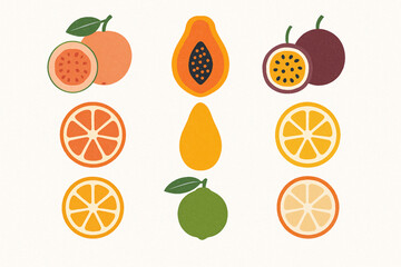 Paraguayan tropical fruit vector icons rugged flat style
