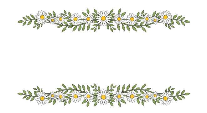 Elegant floral borders made of white daisies and green leaves creating a beautiful frame for invitations and greeting cards.