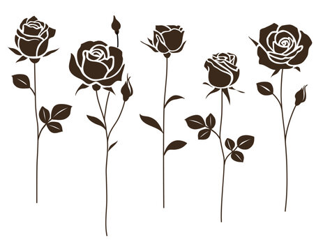 Set of decorative rose with long stem and leaves isolated on white. Flower silhouette icon. Vector illustration	